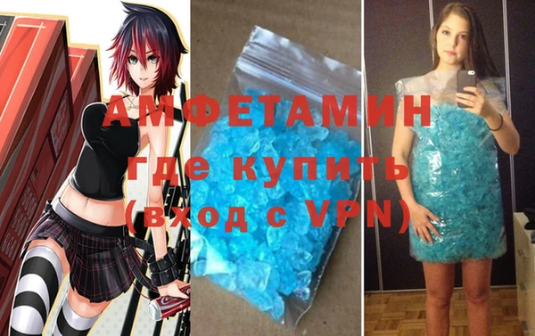 шишки Аркадак