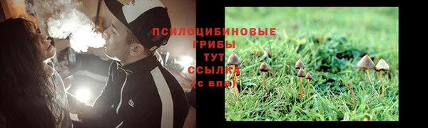 метадон Протвино