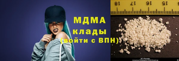шишки Аркадак