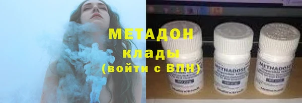 индика Алексин