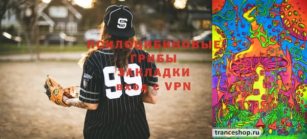 индика Алексин