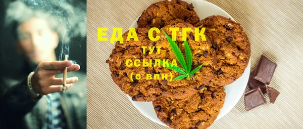 индика Алексин
