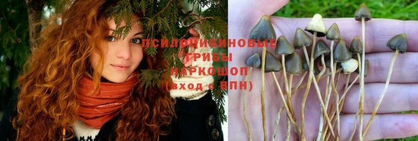 герыч Алзамай