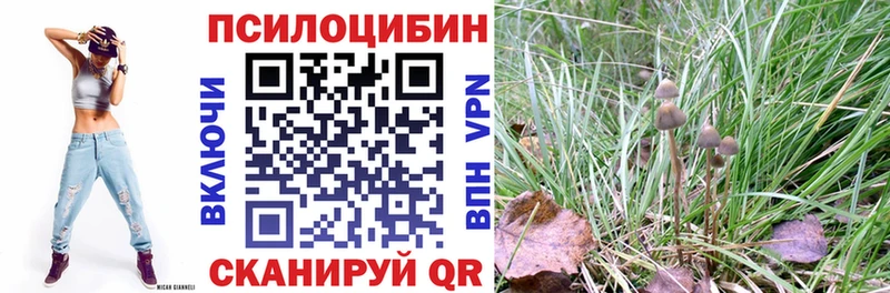 где можно купить   Кыштым  Галлюциногенные грибы ЛСД 